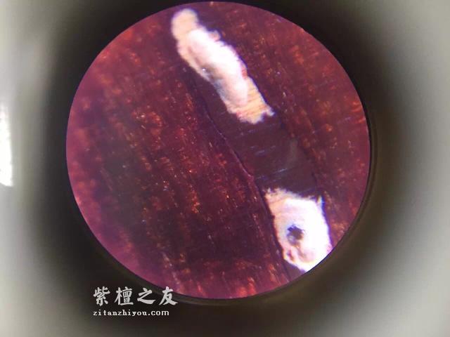 第六代假金星，都横空出世了，你还能分辨出来吗？-4