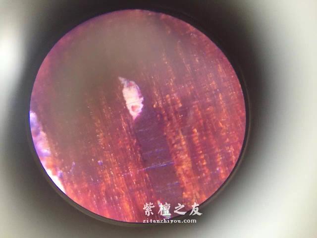 第六代假金星，都横空出世了，你还能分辨出来吗？-5