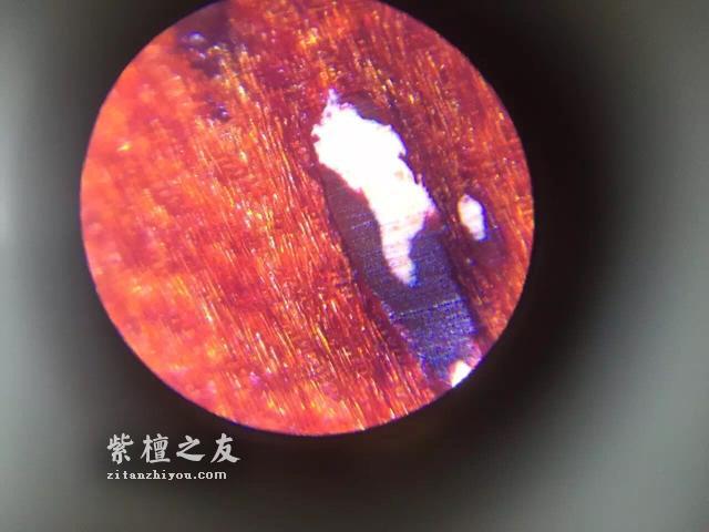 第六代假金星，都横空出世了，你还能分辨出来吗？-8
