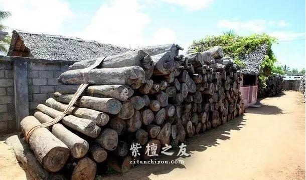 红木百科--大叶紫檀（卢氏黑黄檀）-2