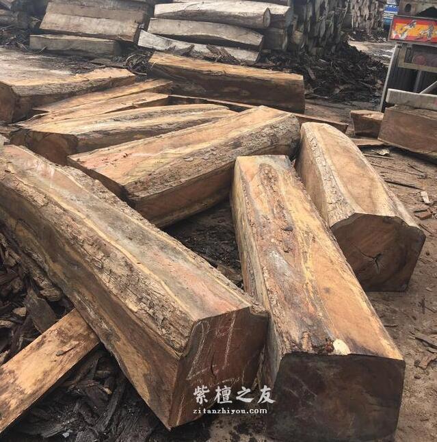 大果紫檀少量走货非洲紫檀价格跌至冰点