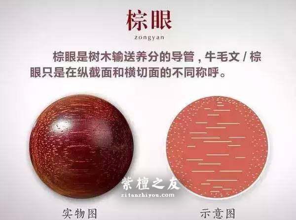 小叶紫檀知识手册-9