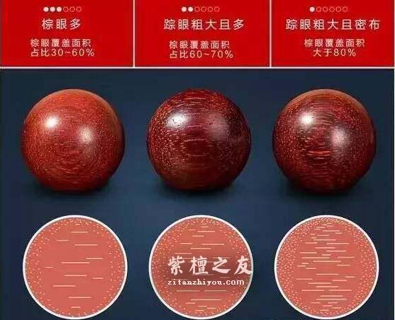 小叶紫檀知识手册-11