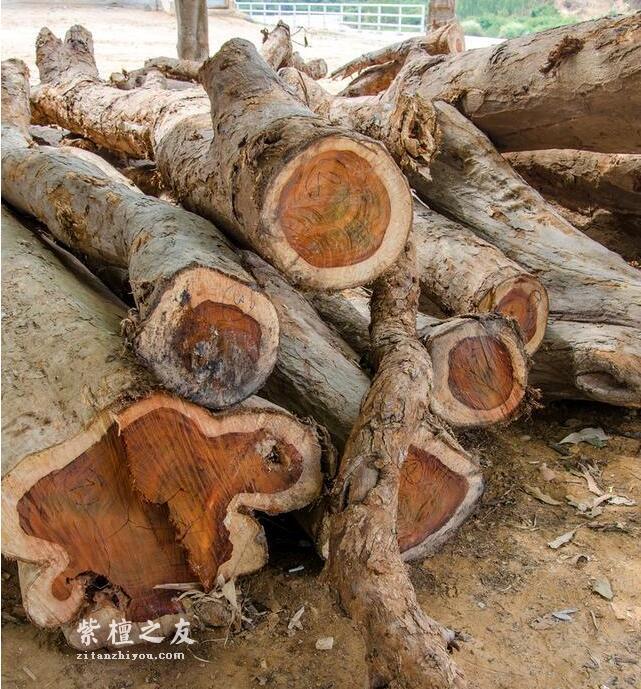 紫檀真与假，几个小招帮你搞明白-3