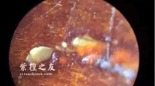 关于小叶紫檀真假金星的问题-3