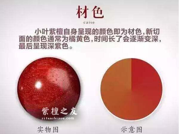 干货！小叶紫檀知识手册-12