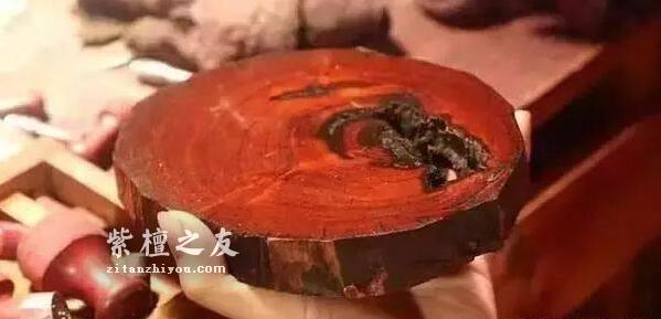 干货！小叶紫檀知识手册-15