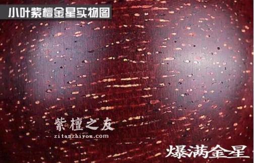怎样才能防止小叶紫檀上的金星的脱落？-2