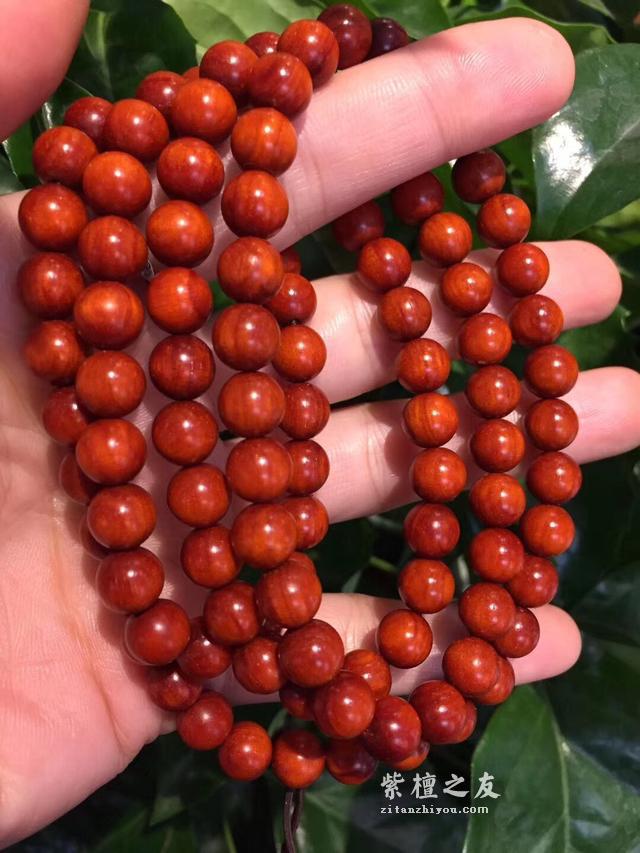 你的紫檀可能只是边角料做的，真的极品紫檀手串是什么样的？-3