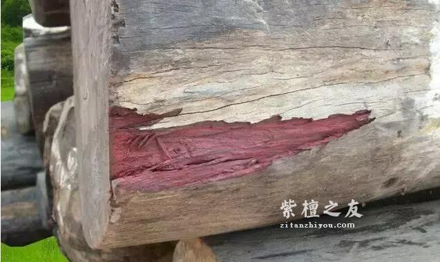 红木百科：大叶紫檀（卢氏黑黄檀）-4