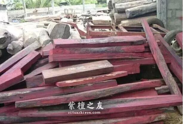 红木百科：大叶紫檀（卢氏黑黄檀）-6