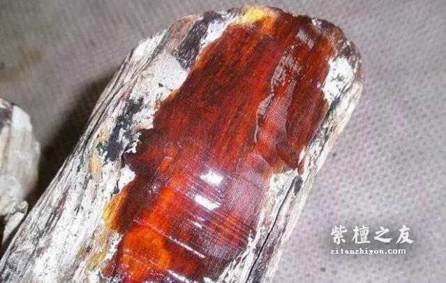 市场追捧的各大紫檀“曝光”，有的只是搞噱头-3