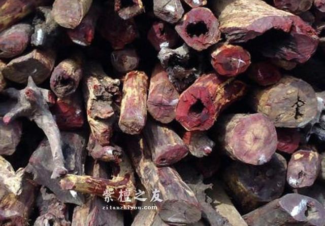 小叶紫檀知识简编40条，看完你也成专家-5