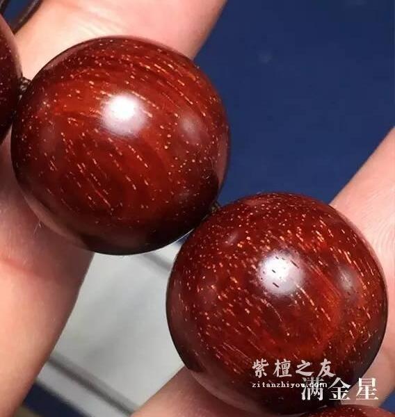 想要深入了解金星小叶紫檀？这篇文章你必须看-21