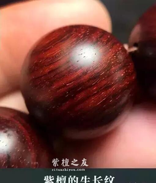 小叶紫檀生长纹和黑线和黑斑的区别-1