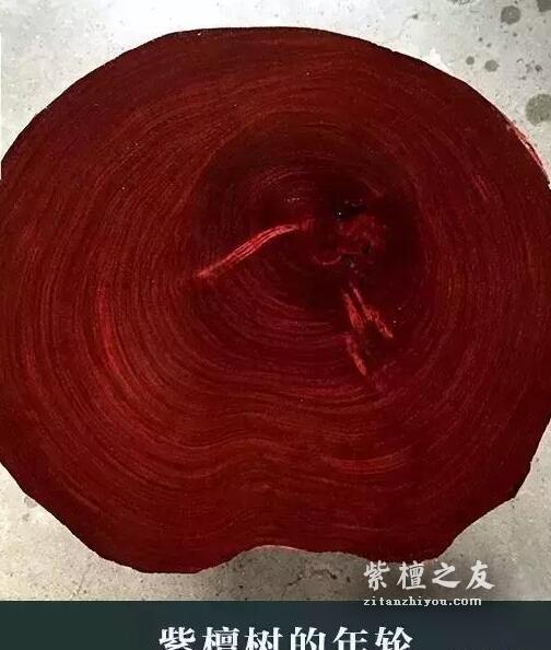 小叶紫檀生长纹和黑线和黑斑的区别-2