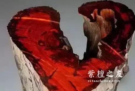 什么是鸡血紫檀？他和普通紫檀有什么区别吗？-1