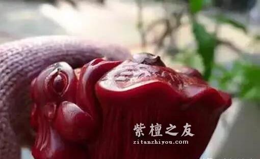 什么是鸡血紫檀？他和普通紫檀有什么区别吗？-3
