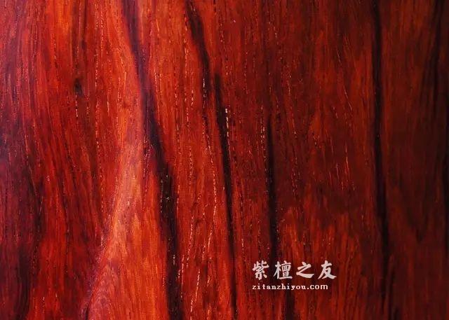 告诉你一些小叶紫檀在网上查不到的事……-2