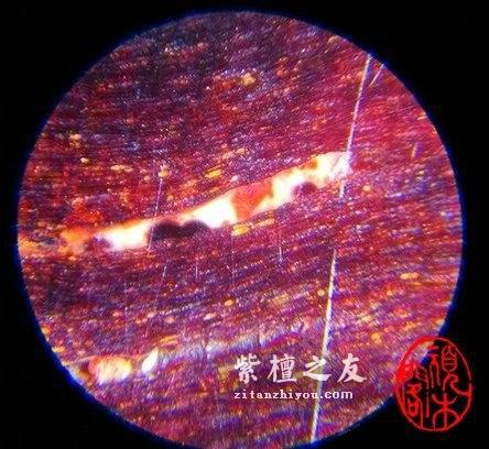 告诉你一些小叶紫檀在网上查不到的事……-14