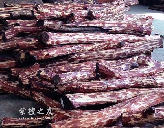 是非成败转头空，血檀和紫檀的纠缠还会继续吗？-9