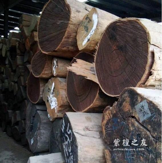 小叶紫檀和大叶紫檀之间一段沸沸扬扬的是非往事-1