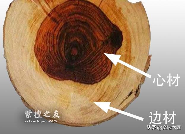小叶紫檀树木和木材知识简编-7