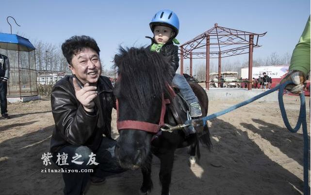 痴迷文玩的5大明星，成龙玩紫檀，而他什么都玩！-5