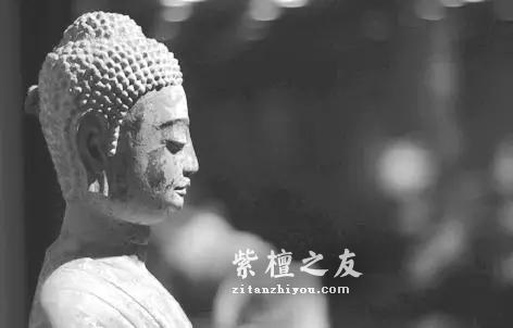小叶紫檀和佛祖的故事-3