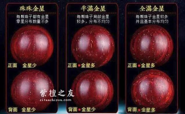 干货！小叶紫檀图解-2