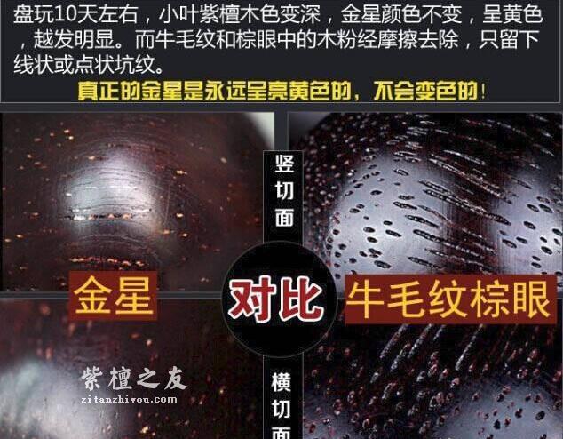 干货！小叶紫檀图解-6