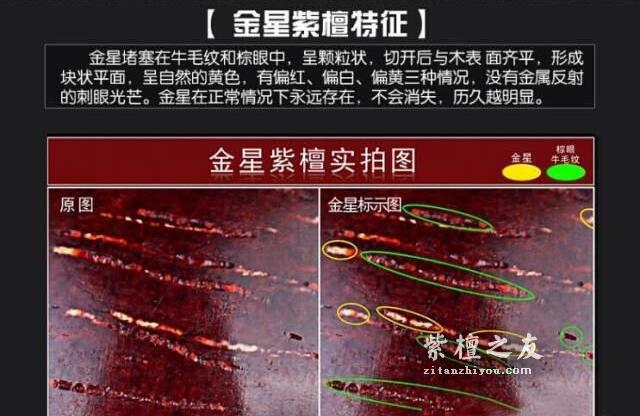 干货！小叶紫檀图解-7