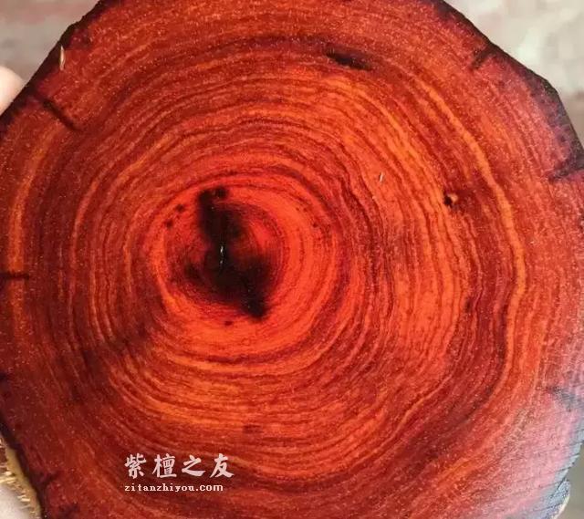 小叶紫檀八级测试题，看你能答对几个！-5